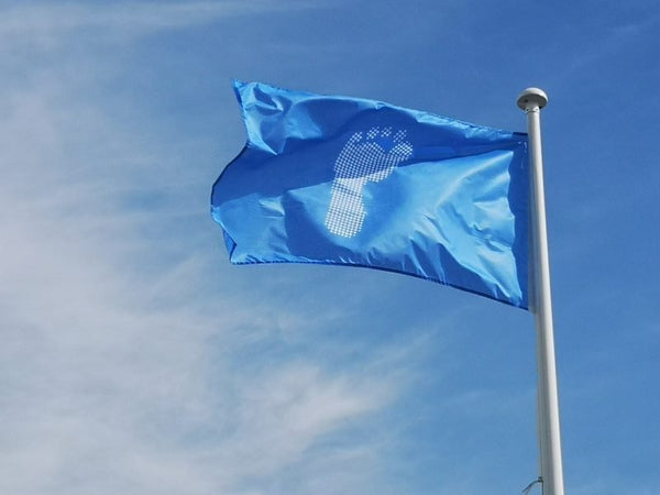 Ai wei wei FLY THE FLAG for Human Rights