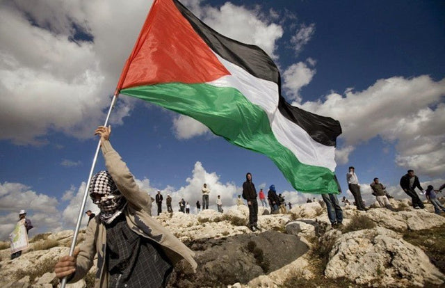 The History of the Palestinian Flag