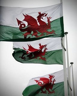 The Welsh Dragon flag: DDRAIG COCH