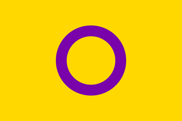 Quality affordable UK made custom Intersex PRIDE flags, stitched and ...