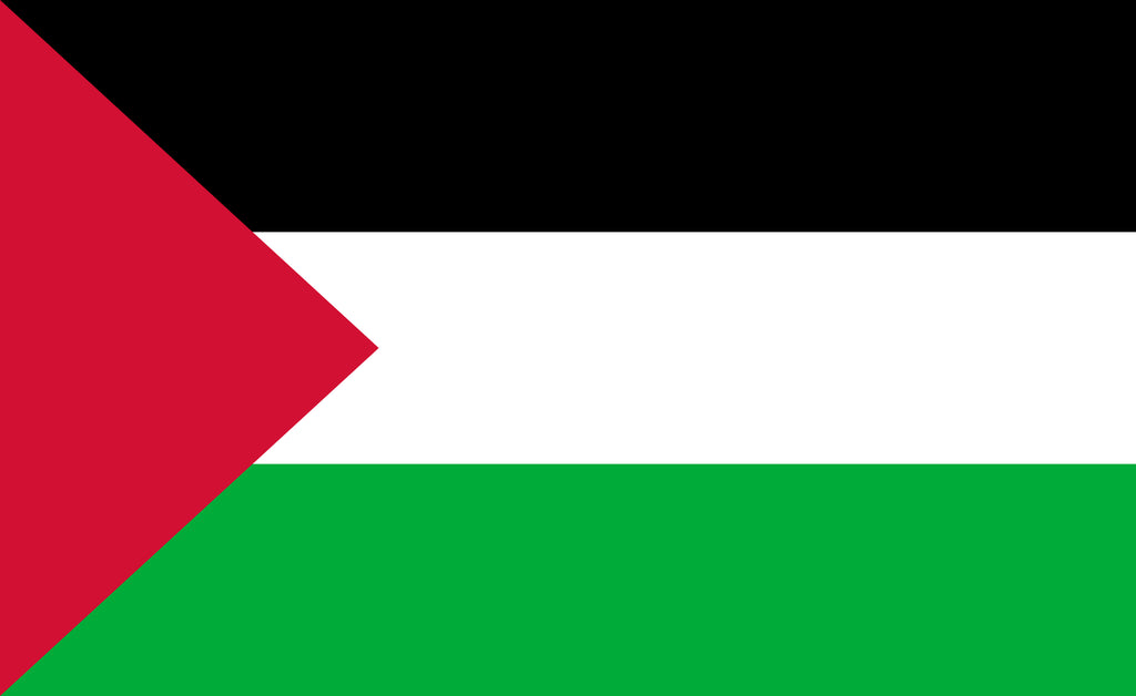 Palestine flag (Palestinian)