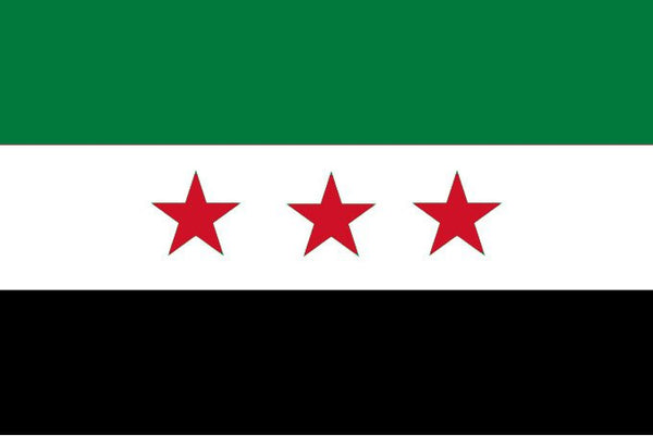 Syria flag 2025