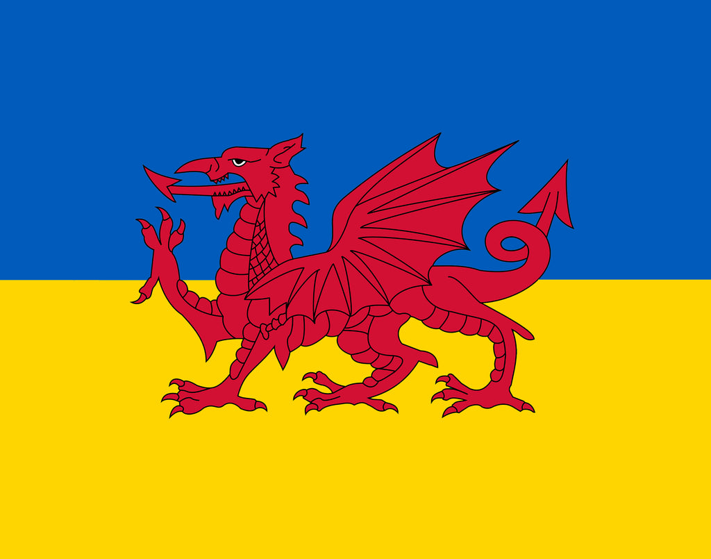 Ukraine / Wales friendship