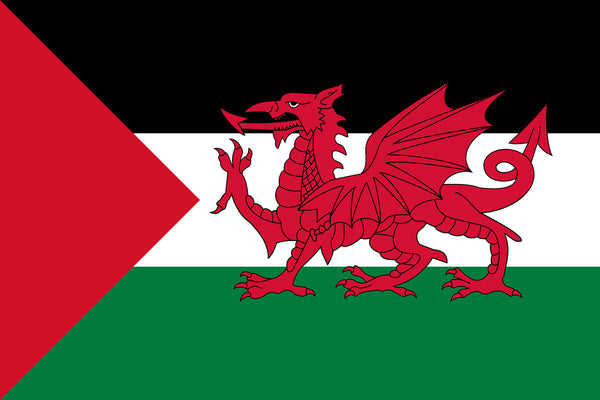 Palestine / Wales friendship