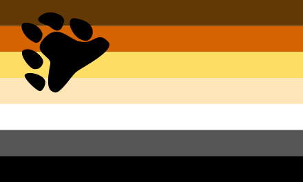 Bear PRIDE flag.  All the colours of the rainbow.