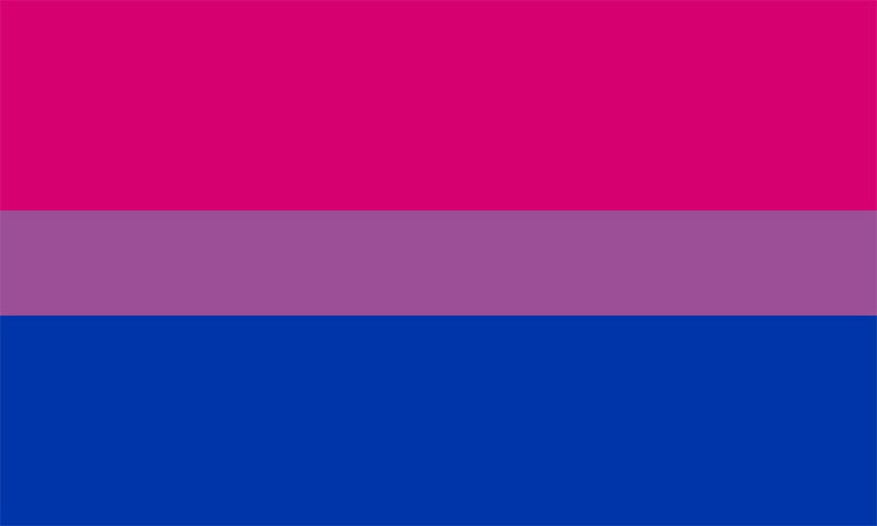Bisexual PRIDE flag.  All the colours of the rainbow.