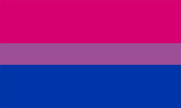 Bisexual PRIDE flag.  All the colours of the rainbow.