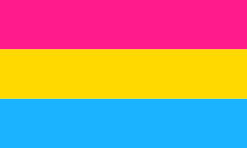 Pansexual PRIDE flag.  All the colours of the rainbow.