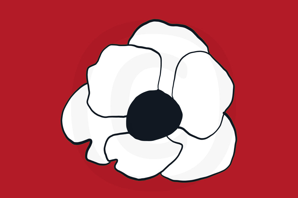 White poppy on red