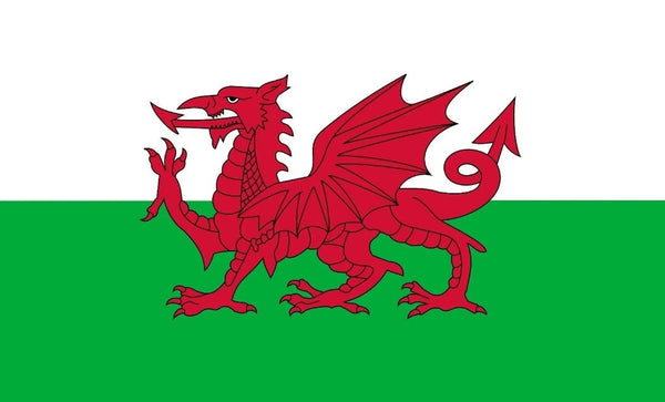 5x3ft Welsh Dragon (Economy) eyelets