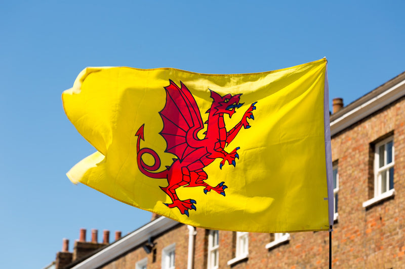 Quality affordable UK made custom World flags. Scotland flag. – Flag Studio