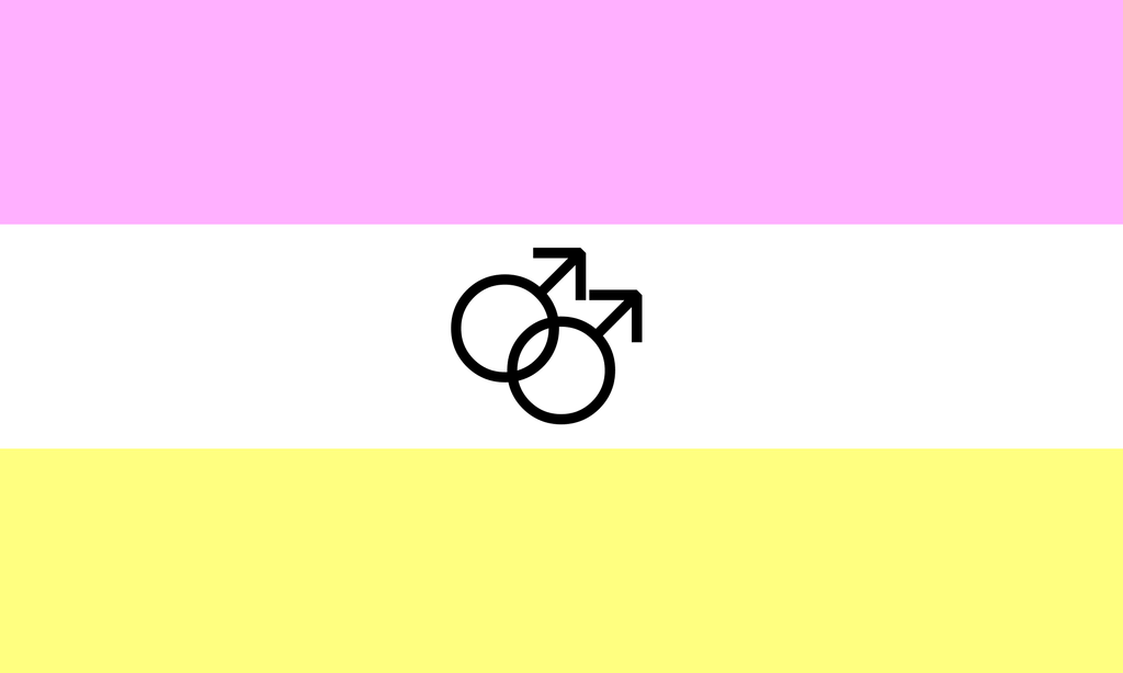 Twink PRIDE flag.  All the colours of the rainbow.