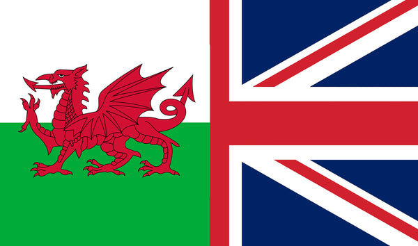 Union Wales FRIENDSHIP FLAG