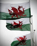 Wales (Welsh Dragon, Welsh flag, Cymru, Ddraig Goch)