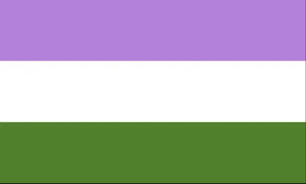 Gender Queer PRIDE flag.  All the colours of the rainbow.