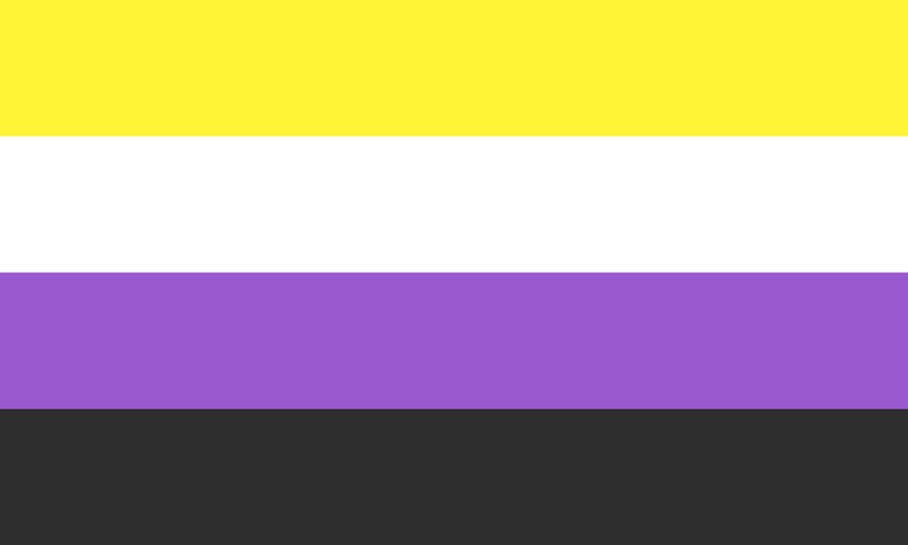 Non binary PRIDE flag.  All the colours of the rainbow.